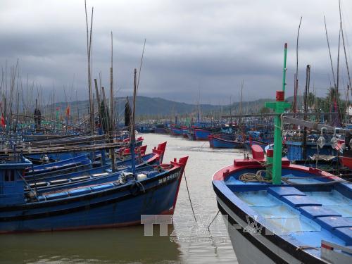 Họp khẩn ứng phó với áp thấp nhiệt đới khả năng mạnh lên thành bão 